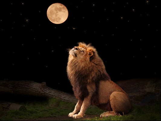 Leo Lunar Eclipse