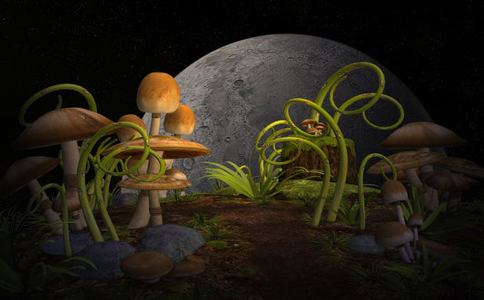 BLUE MOON IN LIBRA ~ MARCH 31, 2018