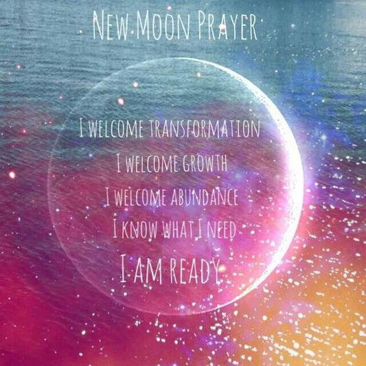 NOVEMBER 2016 NEW MOON + MOON WOBBLE