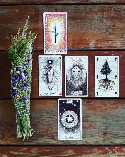 MORNING CONTEMPLATION TAROT READING