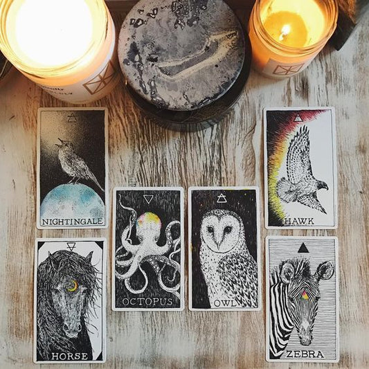LUNAR ECLIPSE TAROT READING