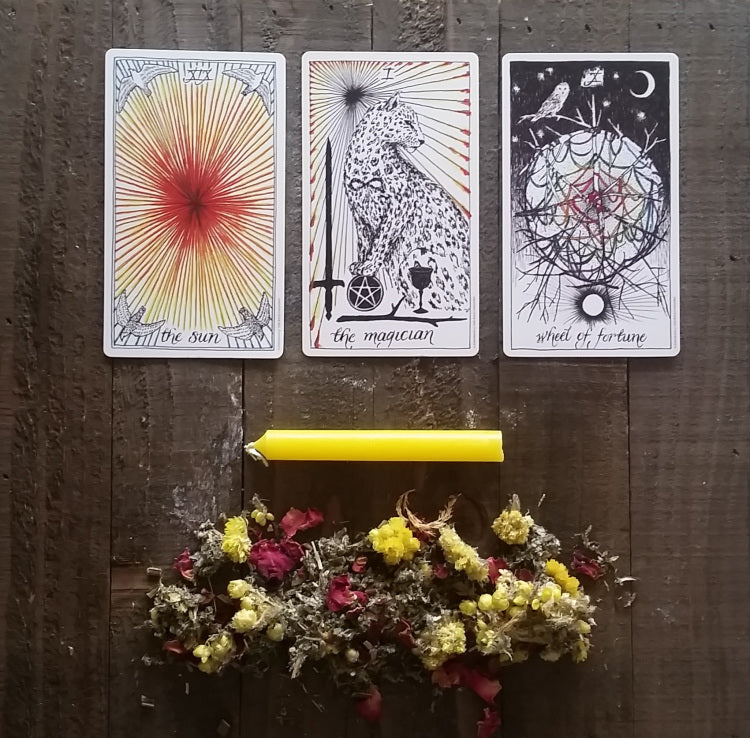 WEEK OF DAILY GUIDANCE TAROT CARD READINGS