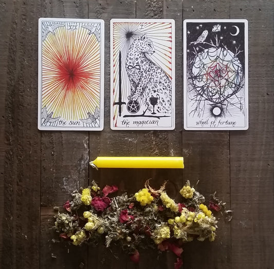 WEEK OF DAILY GUIDANCE TAROT CARD READINGS